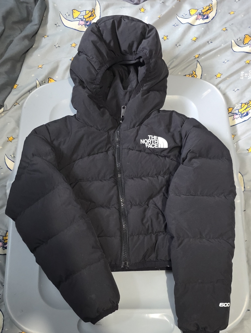 The North Face Women's Black Hooded Puffer Jacket